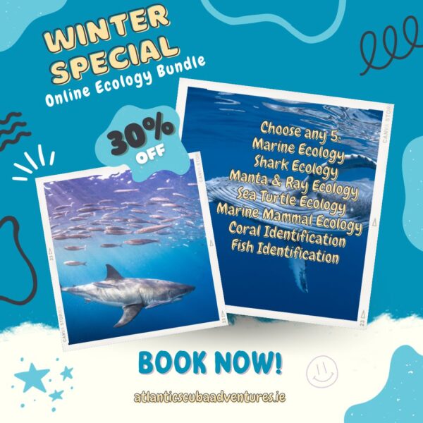 A winter special offer on ecology courses