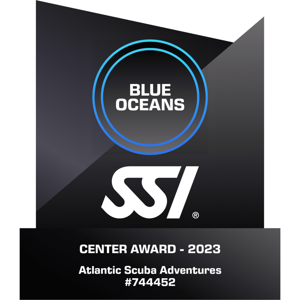 Blue Oceans Award 23