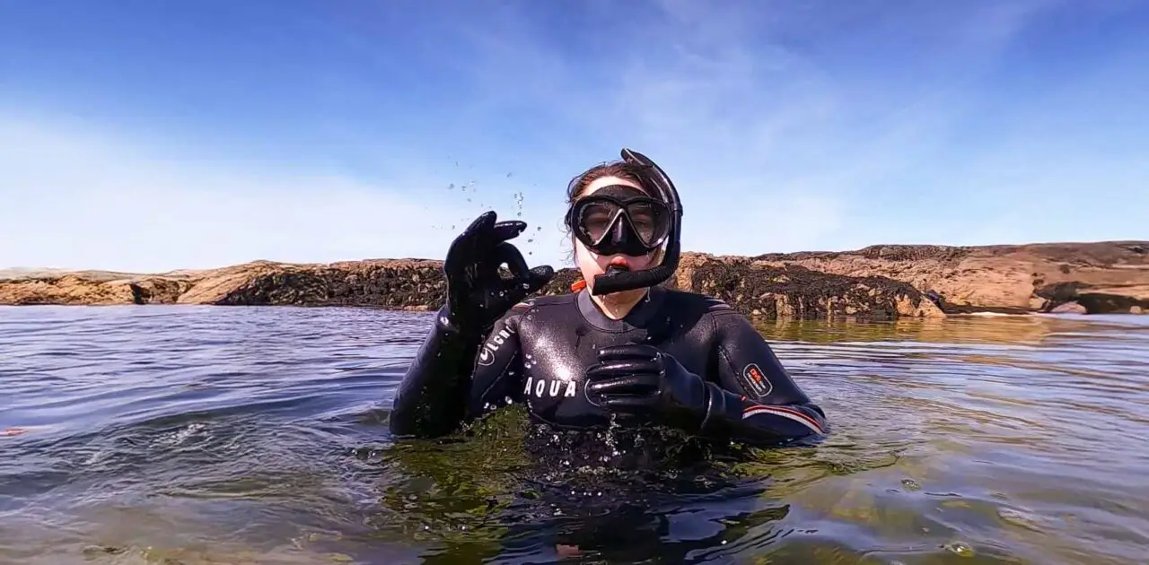 Sarah Snorkeling, My TY Work Experience at Atlantic Scuba Adventures