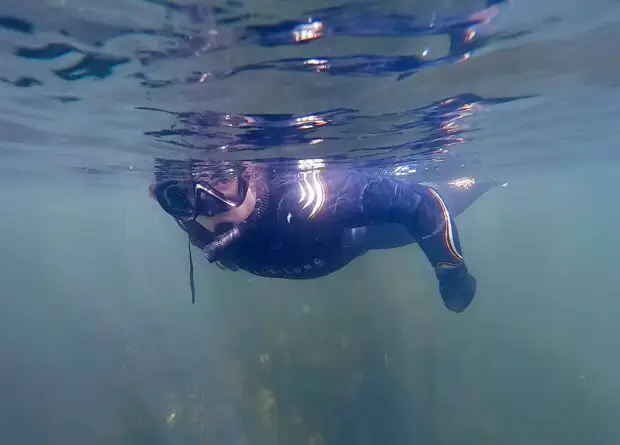Sarah Snorkeling, Work Experience, Atlantic Scuba Adventures