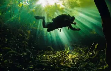 Scuba Diver underwater in among under-water plants and algae