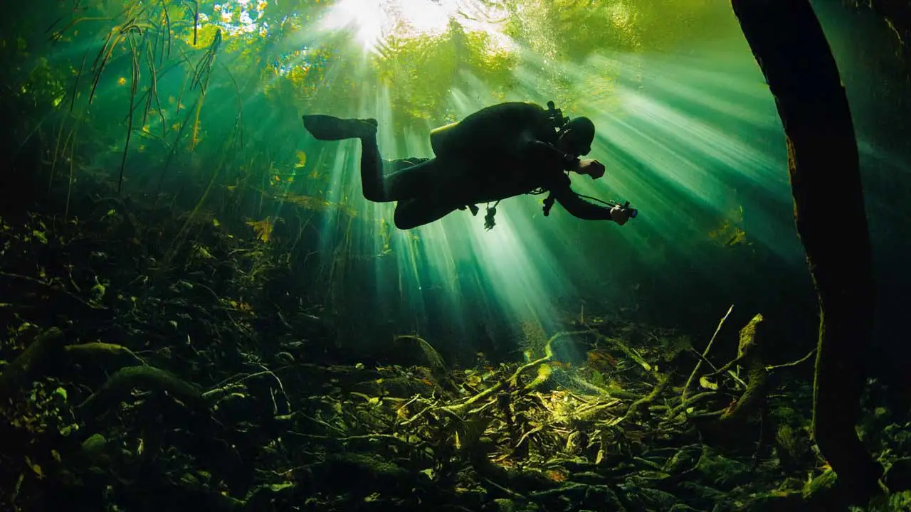 Scuba Diver underwater in among under-water plants and algae