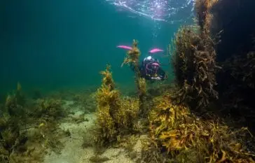 Advanced diving Atlantic Scuba Adventures Connemara