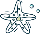 Icon Star Fish