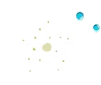 Icon White Star Fish