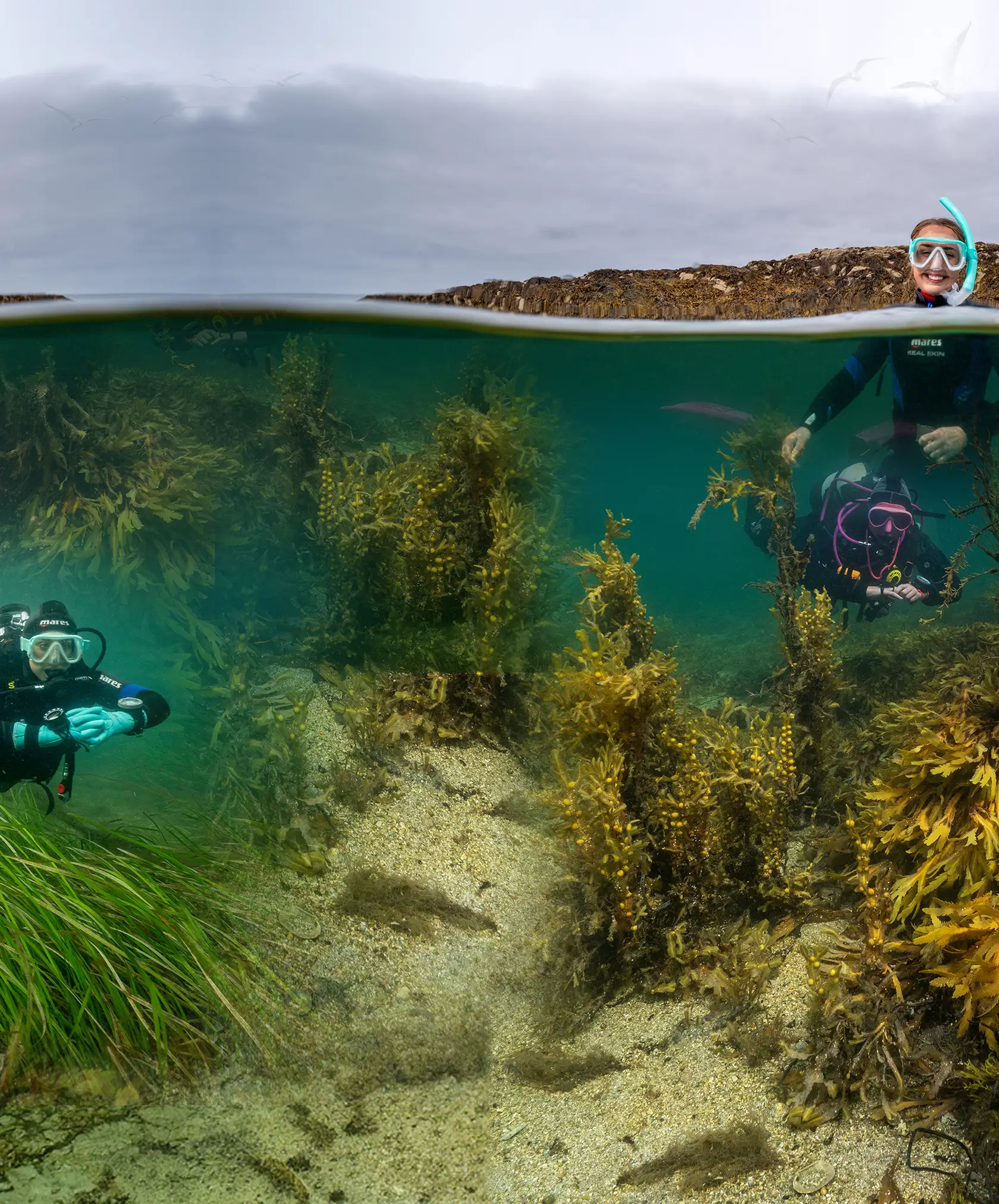 Atlantic Scuba Adventures, Connemara