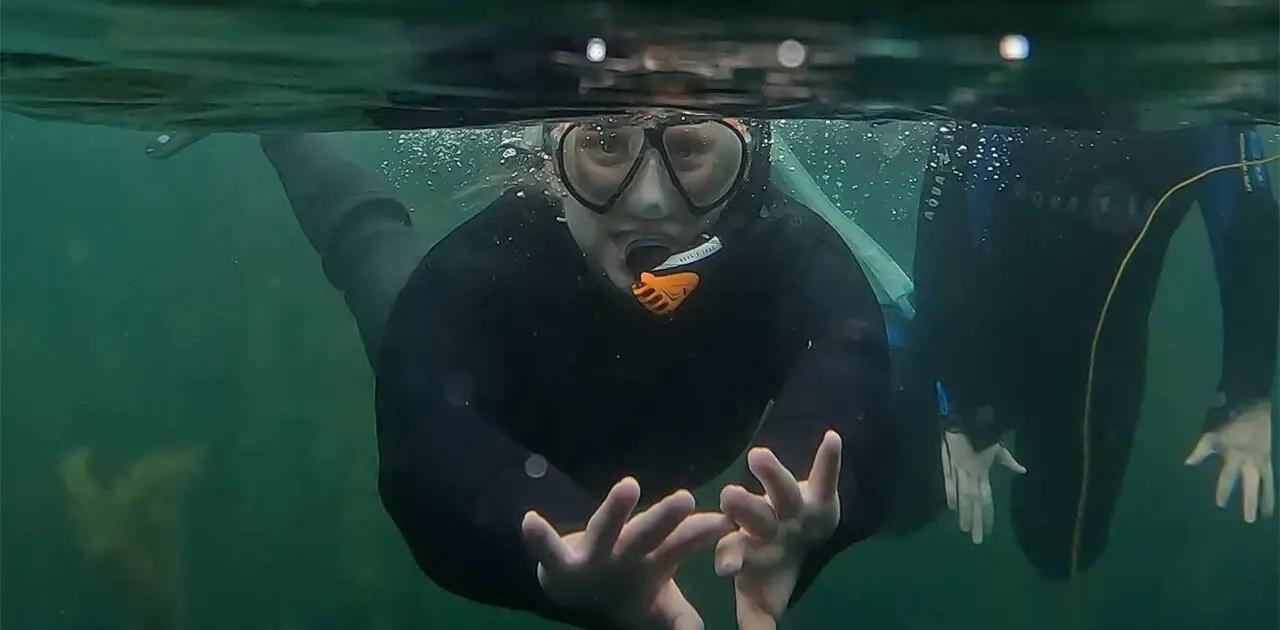 Snorkel club Member experience at Atlantic Scuba Adventures