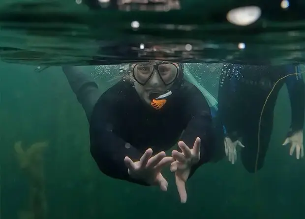 Snorkel club Member experience at Atlantic Scuba Adventures