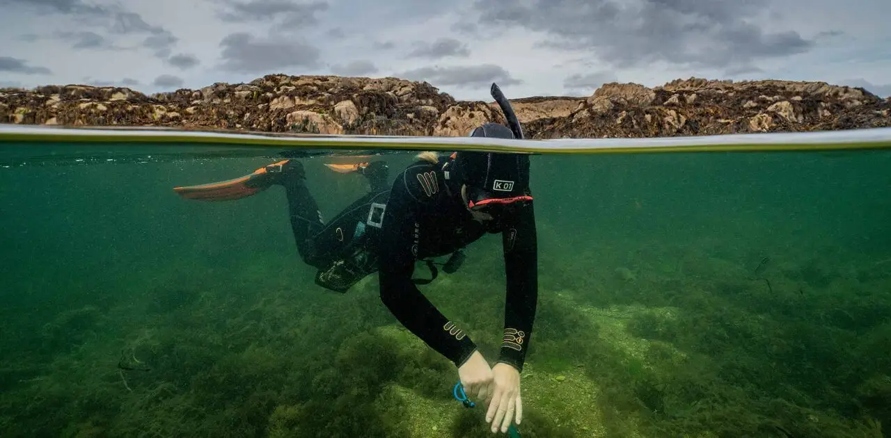Snorkeling with Atlantic Scuba Adventures, Connemara