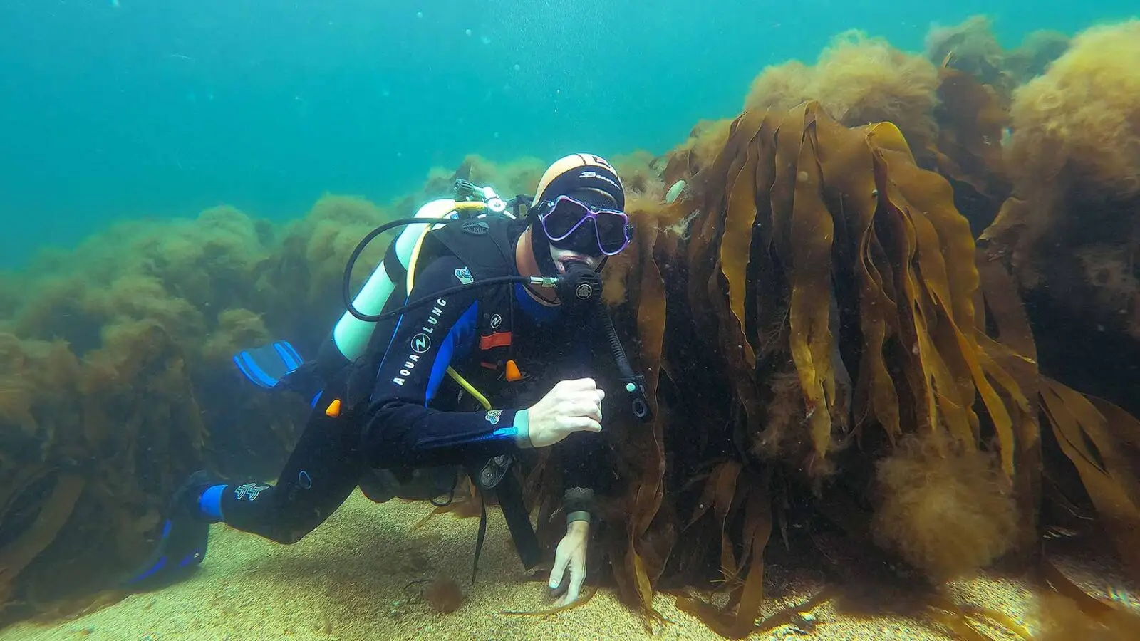 Try Scuba Diving at Atlantic Scuba Adventures