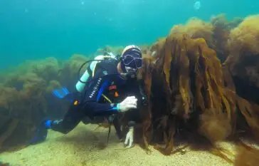 Try Scuba Diving at Atlantic Scuba Adventures