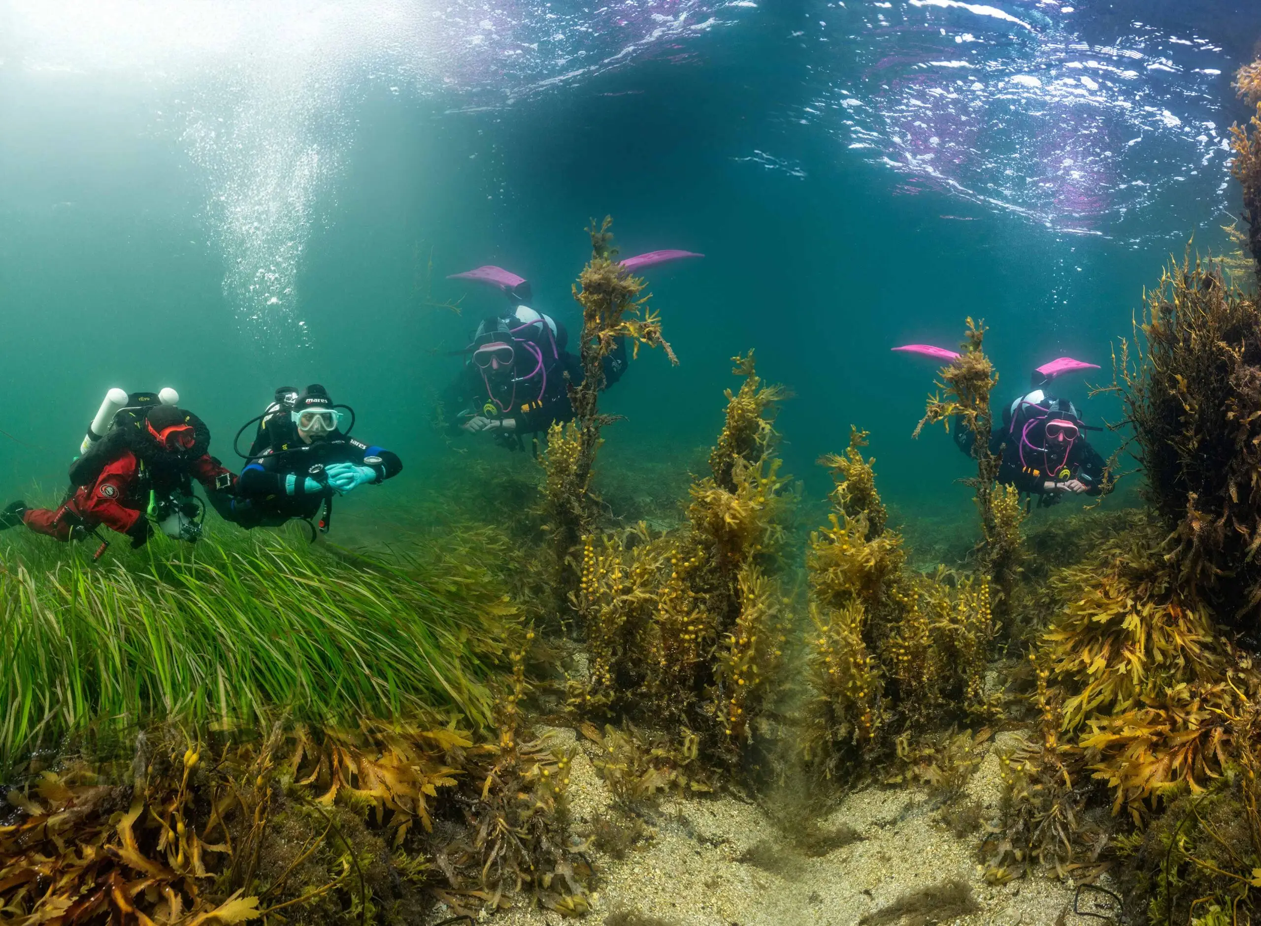Advanced scuba diving courses in Connemara.