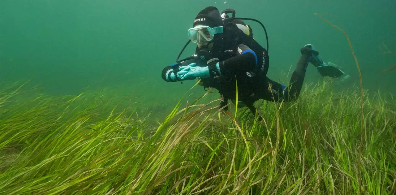 Diving with Atlantic Scuba Adventures 10.