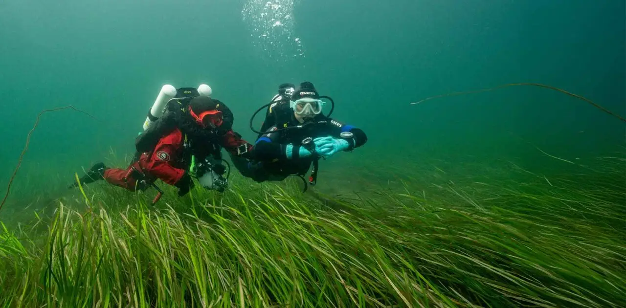 Diving with Atlantic Scuba Adventures 12.