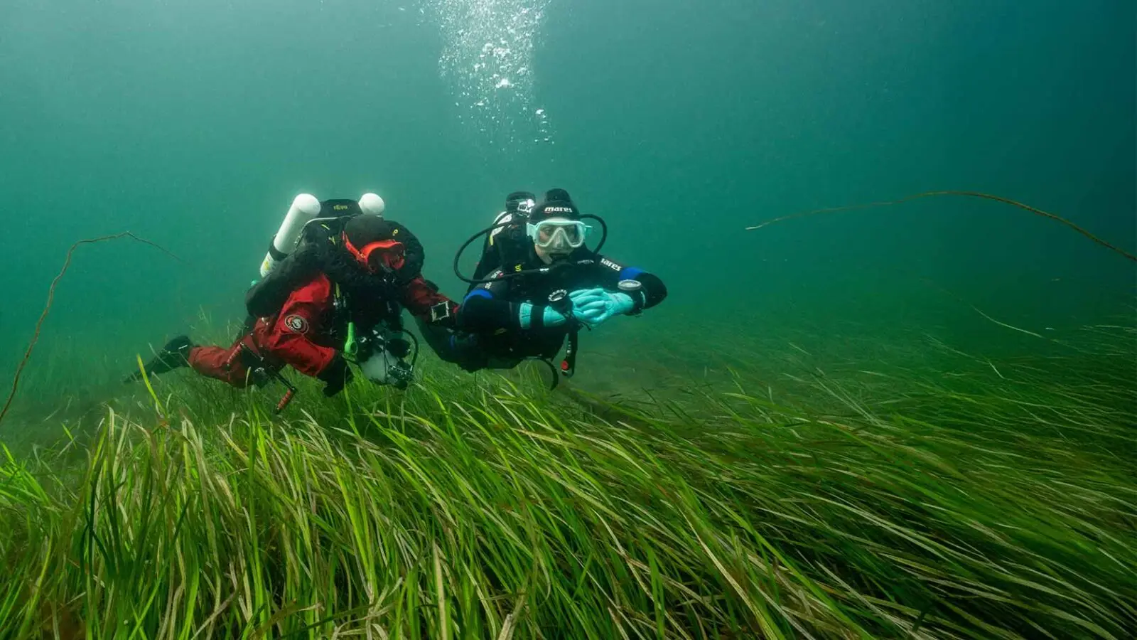 Diving with Atlantic Scuba Adventures 12.
