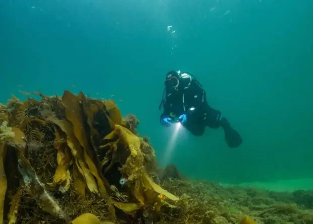 Diving with Atlantic Scuba Adventures 15b.