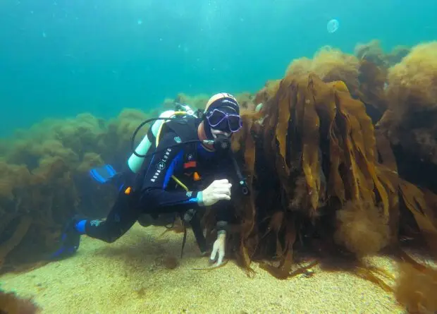 Diving with Atlantic Scuba Adventures 16.