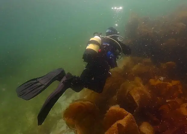 Diving with Atlantic Scuba Adventures.