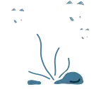 Icon Fish White