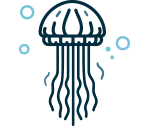 Icon Jellyfish