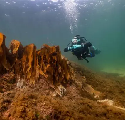 Open Water Diver Course at Atlantic Scuba Adventures 2.