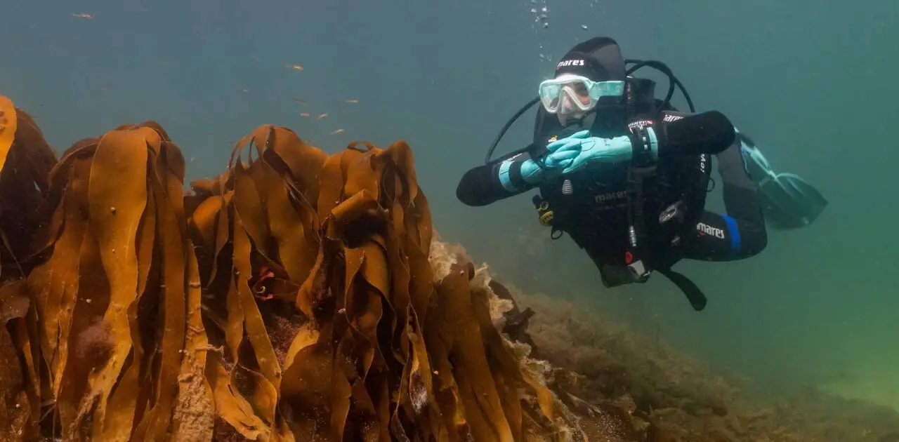 Open Water Diver Course at Atlantic Scuba Adventures 3.