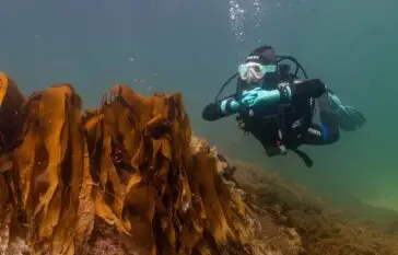 Open Water Diver Course at Atlantic Scuba Adventures 3.